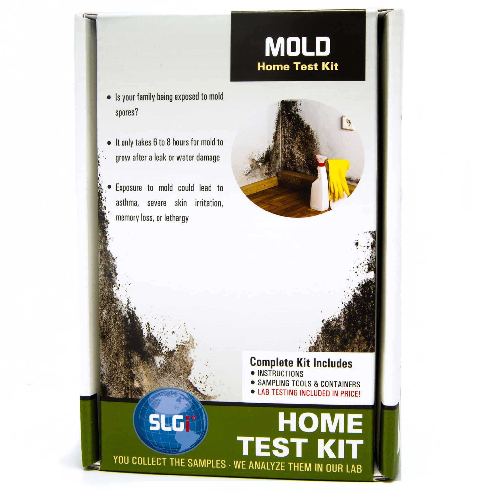 6 Best Mold Test Kits for at Home Testing